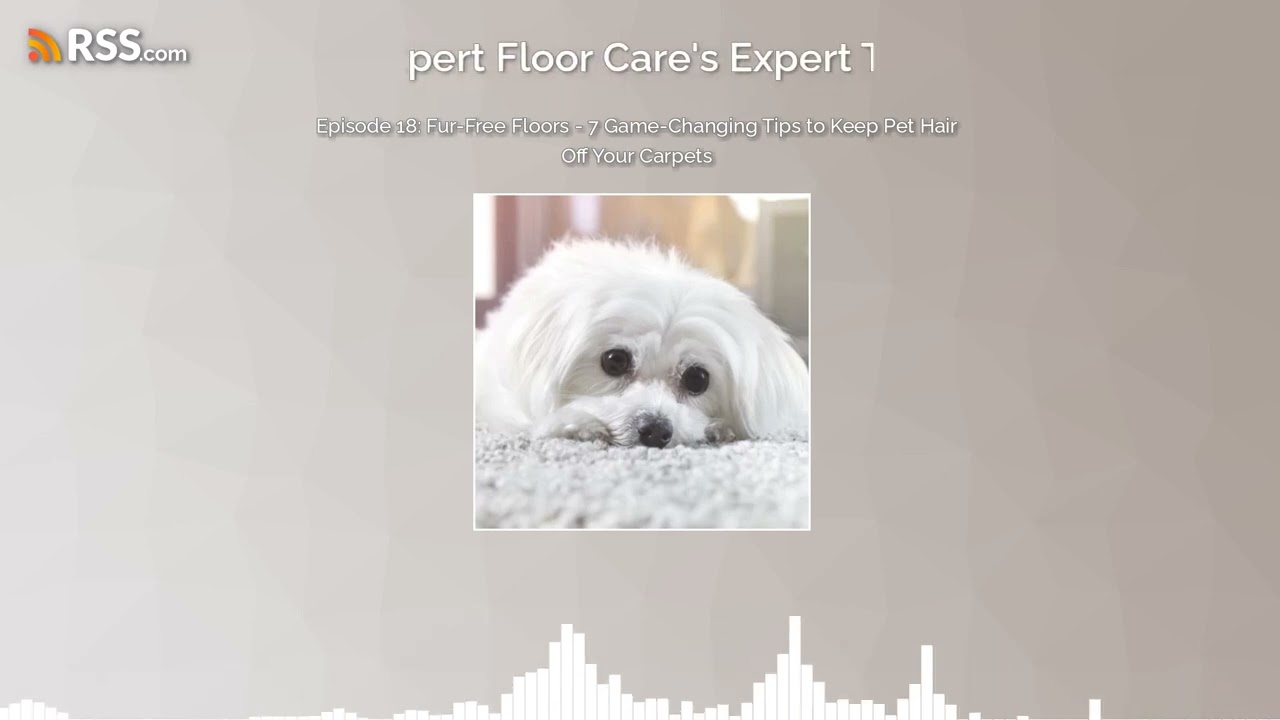 Episode 18: Fur-Free Floors - 7 Game-Changing Tips to Keep Pet Hair Off Your Carpets