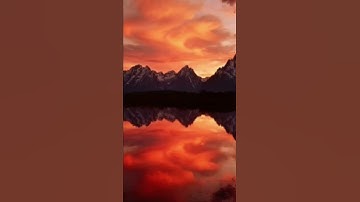 عبدالله الموسى - تلاوة رائعة