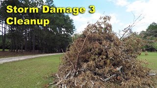 Storm Damage 3: Cleanup