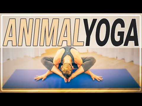 Why Yoga Poses Are Named After Animals - Insight Timer Blog