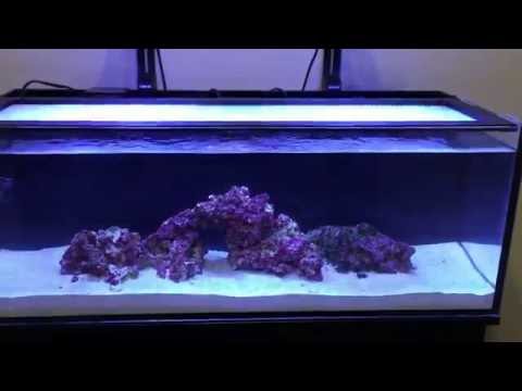 innovative marine nuvo fusion
