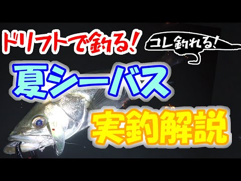[Seabass] Catching with Drift! Summer Seabass Fishing Guide and Tutorial
