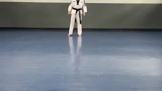 Grading Line Work - 2nd Kup Red Belt