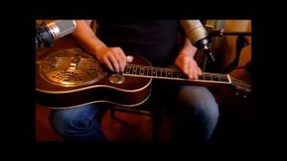 Tears Django Reinhardt Julian Socha Dobro Tribute National Model-D