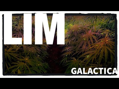 Youtube: LIM GALACTICA PROD BY LYRICAL RECORD LIM