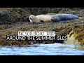 NC500: Awesome Ullapool Boat Trip Seeing Sea Life in the Summer Isles