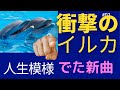 人生模様、ここにイルカ、心に居るか、#イルカ#人生模様#オリジナルミュージック#未来#新曲