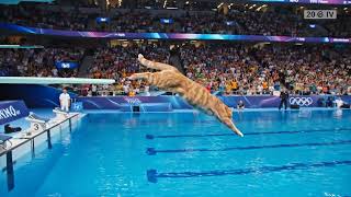 🐱 Olympic Diving Cat Stuns with Flawless Routine! 🤸‍♀️