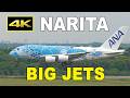 [4K] 成田空港 A滑走路 大型機の離着陸シーン（A380, 747, A350, 777, 787, A330, etc.）/ Tokyo Narita Airport Runway 16R