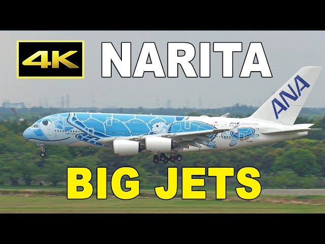 Boeing 747-8 Narita Airport Takeoff NCA JA16KZ 日本貨物航空 成田