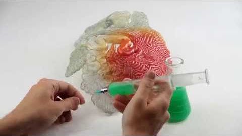 2018 NDA Interaction Design: Neri Oxman