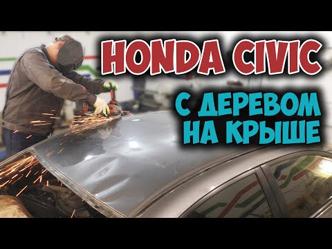 #122 [Honda CIVIC] Ремонт после падения дерева Body Repair