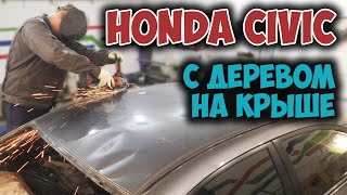 #122 [Honda CIVIC] Ремонт после падения дерева Body Repair