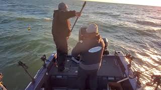 Warrior V 238 rear deck fishing space