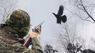 Охота на Глухаря и рябчика с лайкой.  Hunting Capercaillie.