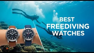 自由潜水装备视频解析：TOP 5 Best Freediving Watches 2026 | Freediving Watches That Will Take Your Dives