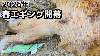 2026年春エギング開幕釣行 2026.4 - YouTube