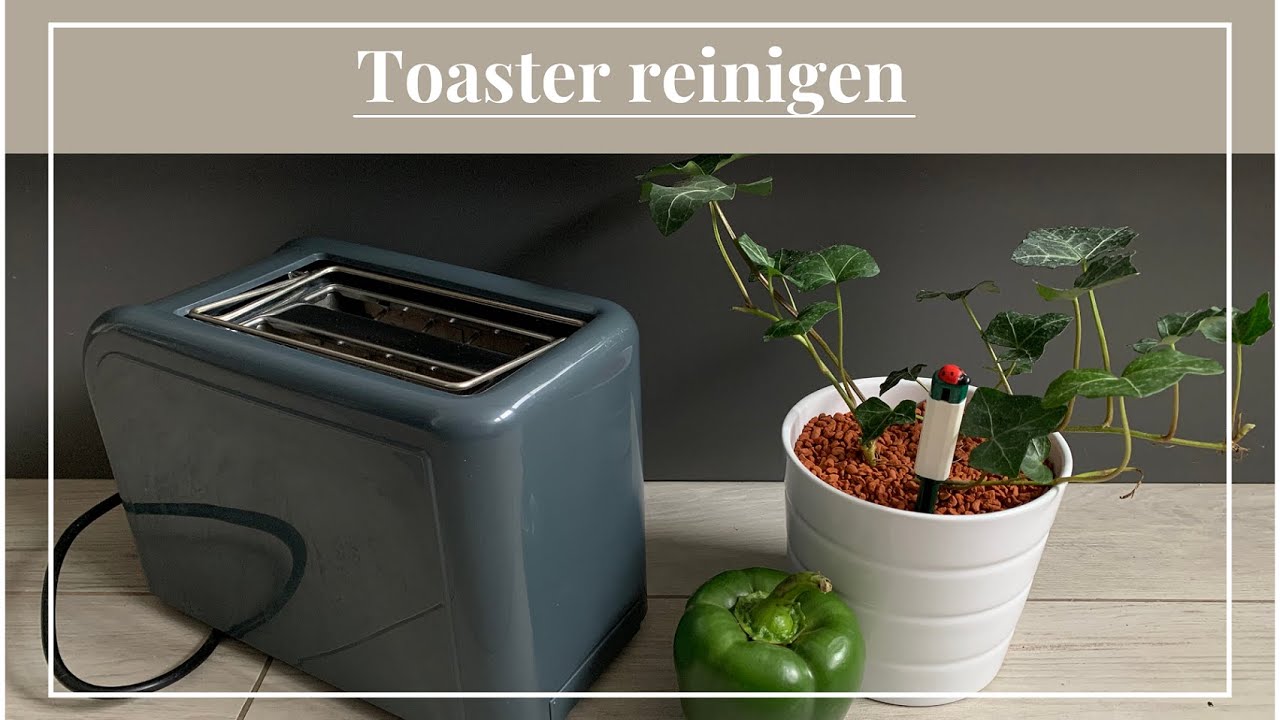 Toaster reinigen / Toaster sauber machen (innen und außen) YouTube