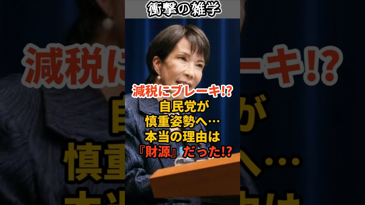 減税にブレーキ!? 自民党が慎重姿勢へ…本当の理由は『財源』だった!? #shorts #雑学 #豆知識 #国会 #政治 #政府 #政党 #政権 #消費税 #減税