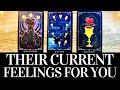 Pick a card their current feelings for you  they want you to know this  love tarot reading