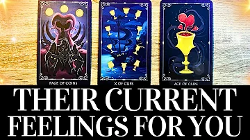 PICK A CARD💓😍 Their CURRENT FEELINGS For YOU! 😍💓 They want you to know THIS! 🌟 Love Tarot Reading