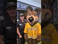 Road Safety Online Activities: Introduction