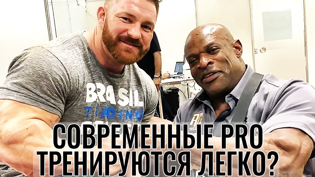 Egis Ungaria ������: ����.