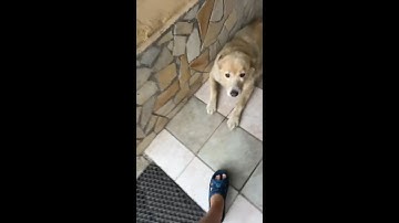 Roblox Broken Bones 4 Glitch | ROBLOX | BROKEN BONES 4