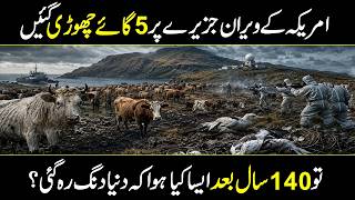 Only Left 5 Cows on a Dead Island | 140 Years Later Scientists Were Shocked