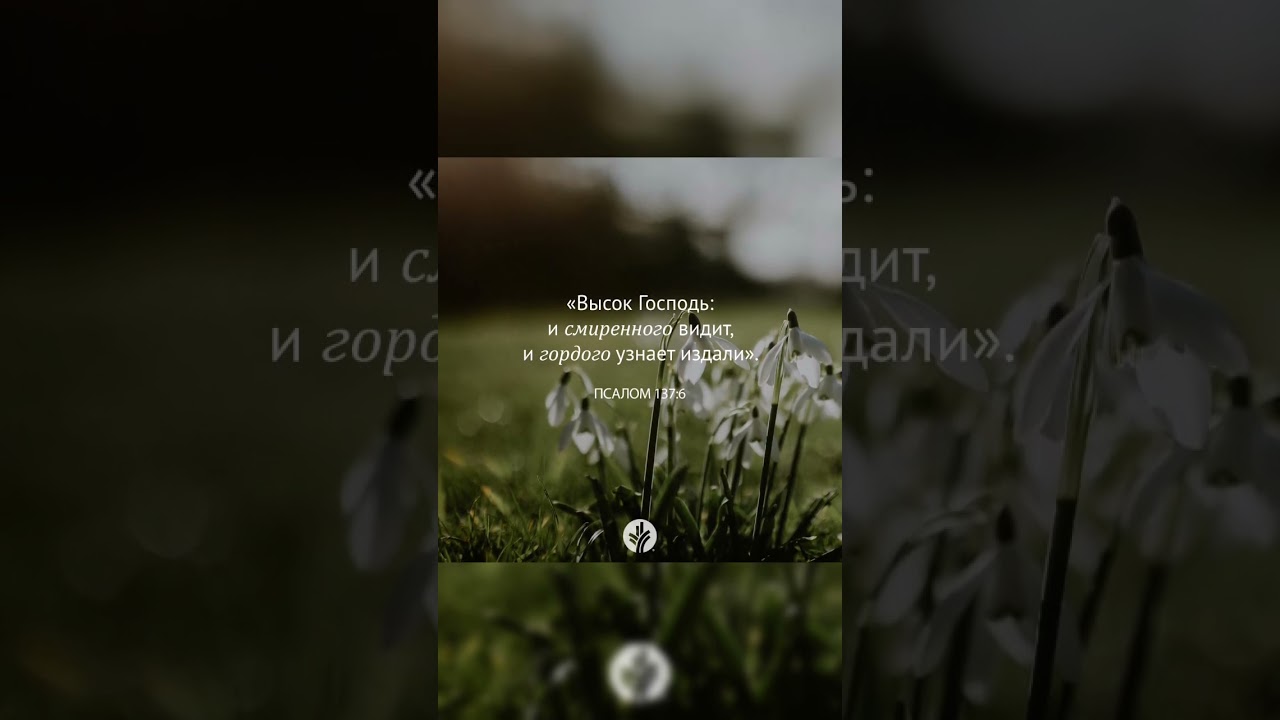 Стих из Библии😄🙏🏻 