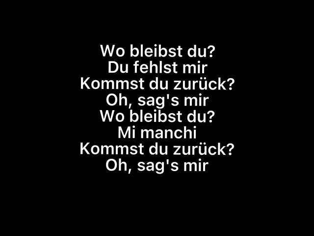 Meissnitzer Band - Du Fehlst Mir