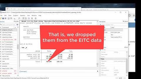 Stata Crash Course (for beginners): Intermediate Manipulations 4