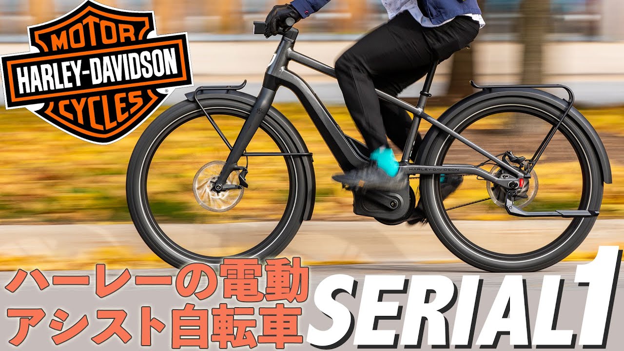 ダッジ自転車　ハーレー風 DODGE(ダッジ) DE-20H(DODGE) DE-20H｜アウトドア用品・釣り具通販は