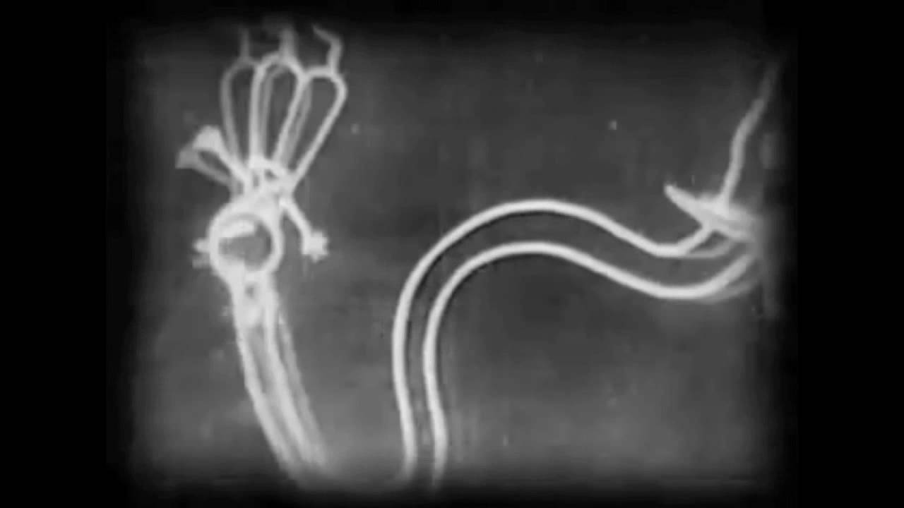 fantasmagorie by émile cohl youtube animated spotlight