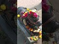 trambakeshwar juna mahadev mandir #subscribe vilal video Jay mahakaal