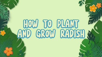 How to Plant and  Grow Radish (Grade 7 Performance Task)