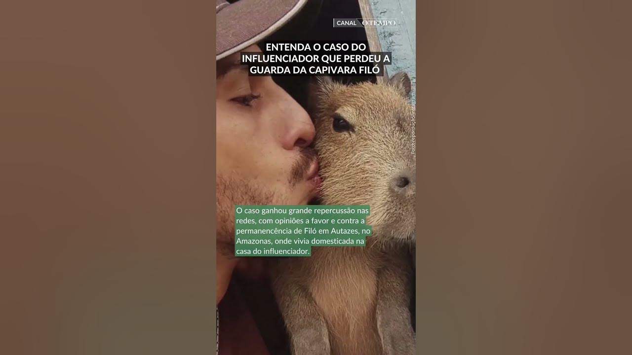 Capivara Filó é devolvida ao influenciador Agenor Tupinambá; veja