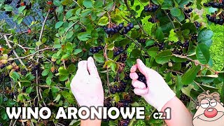 Przepis na Wino Aroniowe - cz.1 - Mrożenie Aronii