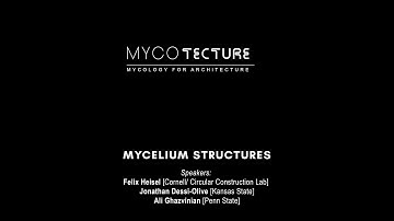 Mycology for Architecture: Mycelium Structures