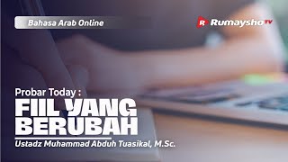 Kelas PROBAR - Belajar Nahwu Dasar dari Al-Muyassar (LIVE)