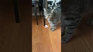 Umm ok I did not expect that!🥲