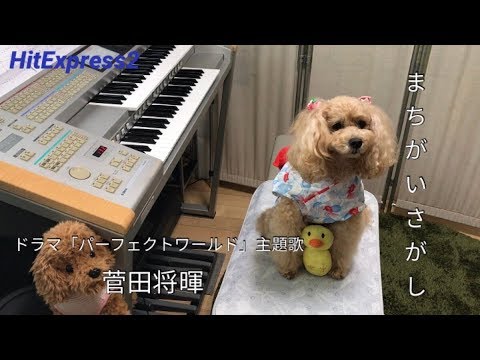 まちがいさがし 菅田将暉 エレクトーン演奏
