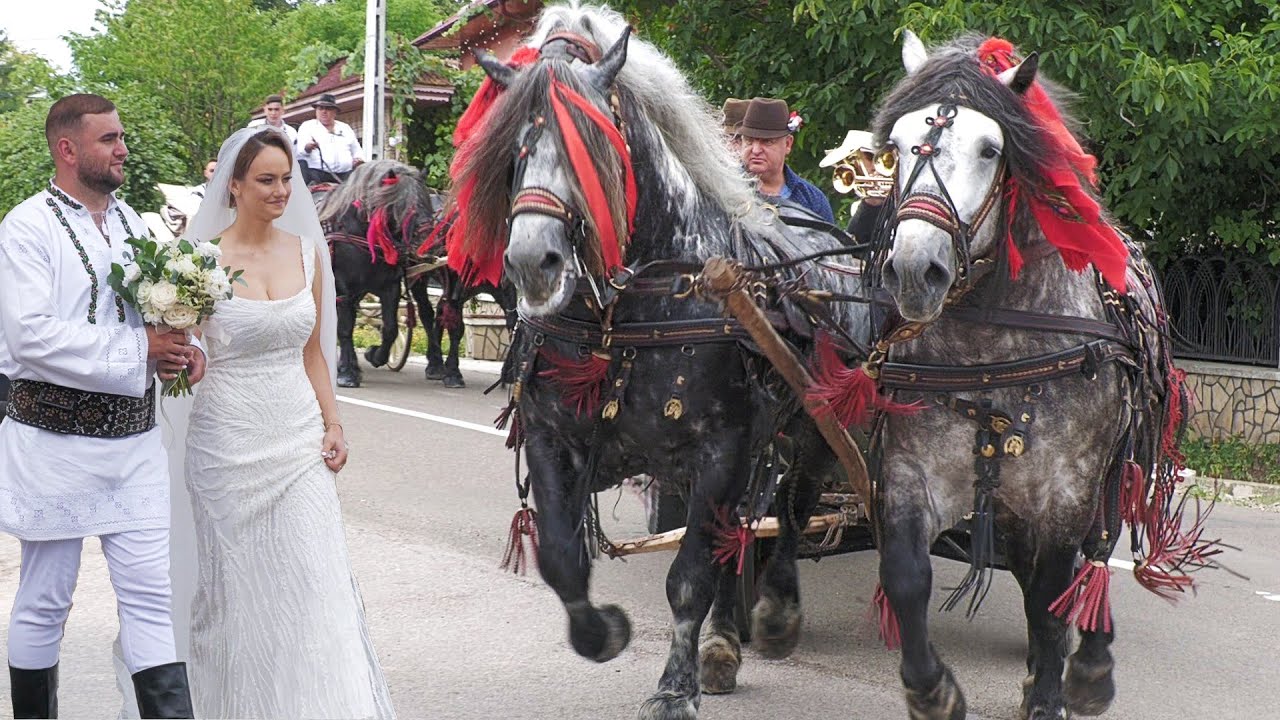 Nuntă în Bucovina George și Dana Tomuț acasă la mire în Botoșana 31 Iulie 2022