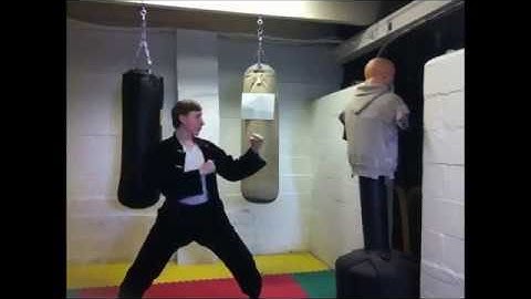 Basic Stances in Tang Soo Do