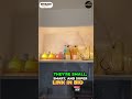 🤯 Kitchen Cabinet Magic! Never use a flashlight in your closet again!