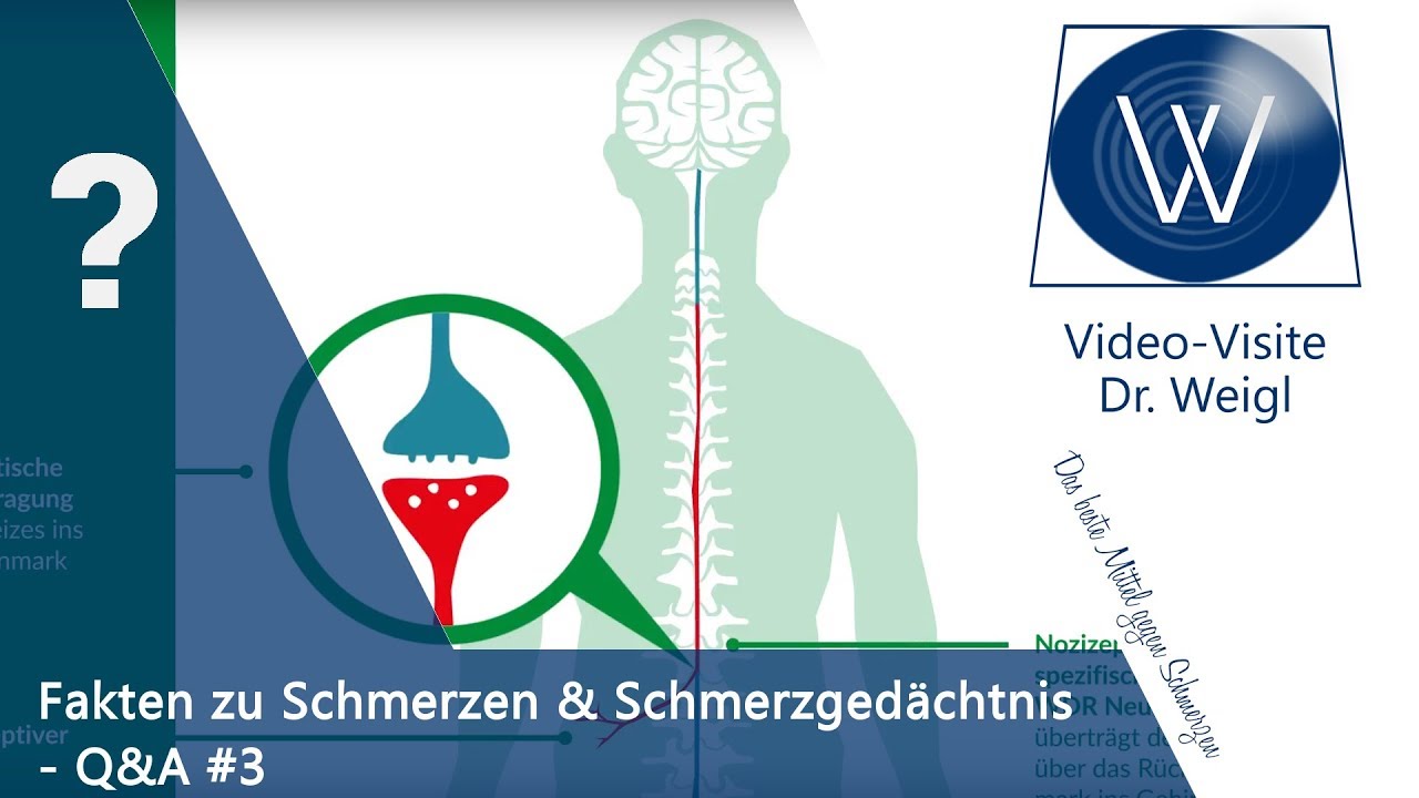 Fibromyalgie: Weichteilrheuma \u0026 Schmerzen am ganzen Körper | Symptome \u0026 Therapie | Schmerzgedächtnis