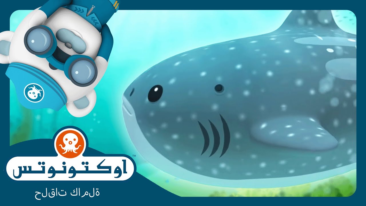 أوكتونوتس | 🦈 القرش الحوت 🌊 | السلسلة 1 | الحلقة 10