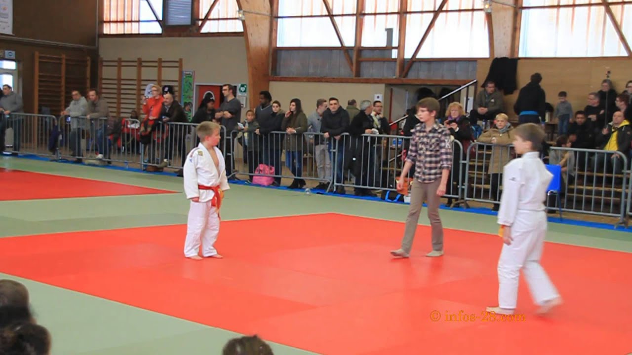 Tournoi de judo de Nogent le Roi le 8 février  2015