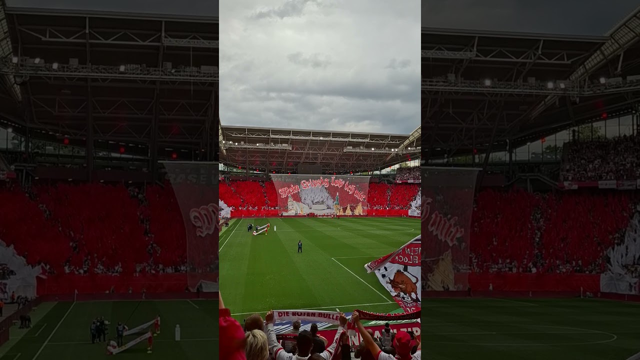 Kann jetzt noch jemand was gegen die Stimmung in der Red Bull Arena sagen?