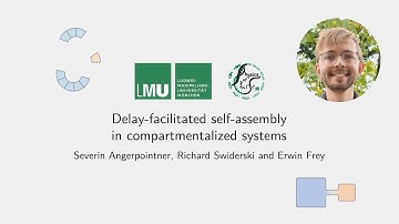Slow down to speed up (summary of "Delay-facilitated self-assembly in compartmentalized systems")